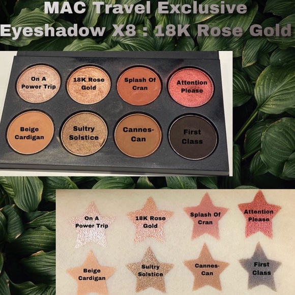 🌟LE🌟MAC Travel Exclusive Eyeshadow x 8- 18k Rose Gold - Picture 4 of 15